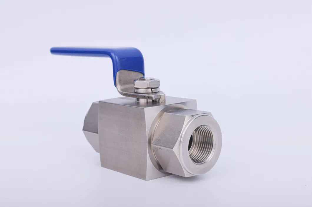 10mm 12mm 20mm Metric 6000psi High Pressure CNG Ball Valve for Gas and Oil Application